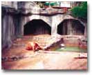 SanDiegoZoo20.jpg (93819 bytes)