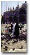 Nuns feeding pigeons at the Piazza San Marco