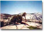 Yosemite25.jpg (144337 bytes)