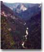 Yosemite81.jpg (133633 bytes)